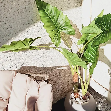 Lägenhet L'evasion *