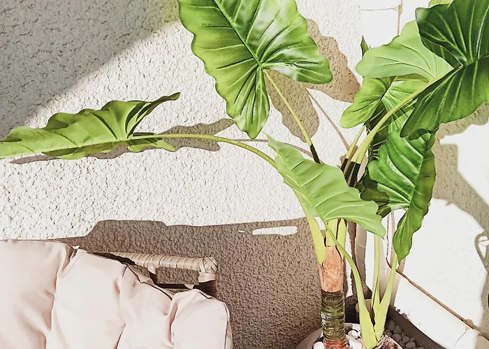 아파트 L'evasion *